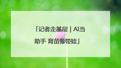 记者走基层｜AI当助手 育苗像带娃