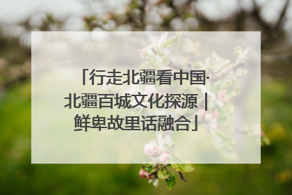 行走北疆看中国·北疆百城文化探源｜鲜卑故里话融合