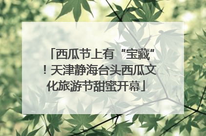 西瓜节上有“宝藏”！天津静海台头西瓜文化旅游节甜蜜开幕