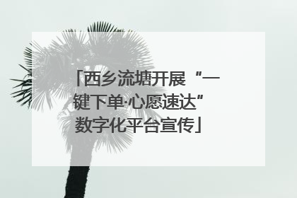 西乡流塘开展“一键下单·心愿速达”数字化平台宣传