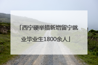 西宁硬举措新增留宁就业毕业生1800余人
