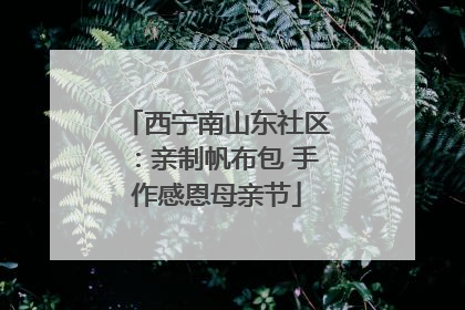 西宁南山东社区：亲制帆布包 手作感恩母亲节