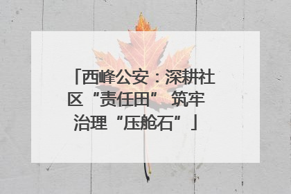 西峰公安：深耕社区“责任田” 筑牢治理“压舱石”