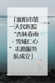 襄阳市第一人民医院“杏林春雨・雪域仁心”志愿服务队成立