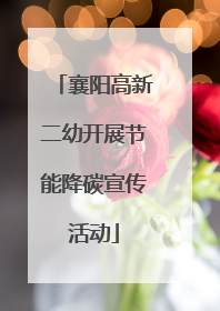 襄阳高新二幼开展节能降碳宣传活动