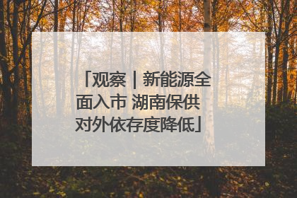 观察｜新能源全面入市 湖南保供对外依存度降低