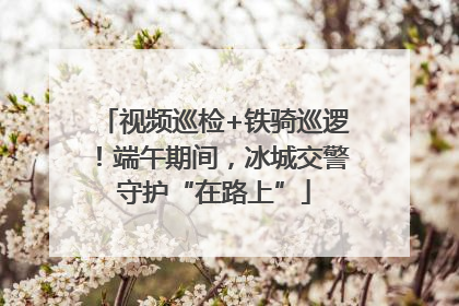 视频巡检+铁骑巡逻！端午期间，冰城交警守护“在路上”