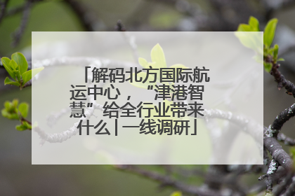 解码北方国际航运中心，“津港智慧”给全行业带来什么│一线调研