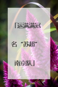 运满满冠名“苏超”南京队