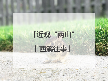 近观“两山”丨西溪往事