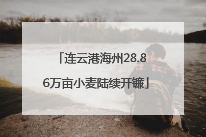 连云港海州28.86万亩小麦陆续开镰