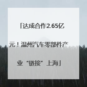 达成合作2.65亿元！温州汽车零部件产业“链接”上海