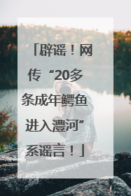 辟谣！网传“20多条成年鳄鱼进入澧河”系谣言！