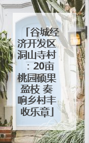 谷城经济开发区洞山寺村：20亩桃园硕果盈枝 奏响乡村丰收乐章