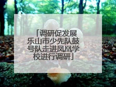 调研促发展 乐山市少先队鼓号队走进凤凰学校进行调研