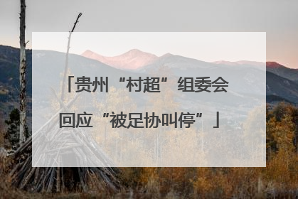 贵州“村超”组委会回应“被足协叫停”