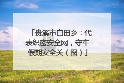 贵溪市白田乡：代表织密安全网，守牢假期安全关（图）