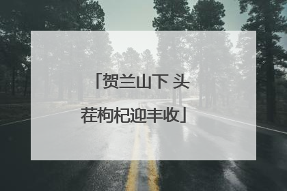 贺兰山下 头茬枸杞迎丰收