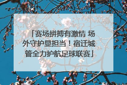 赛场拼搏有激情 场外守护显担当！宿迁城管全力护航足球联赛