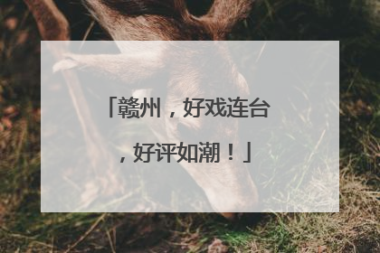 赣州，好戏连台，好评如潮！