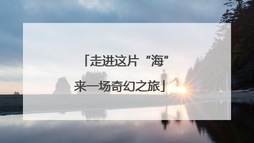 走进这片“海”来一场奇幻之旅
