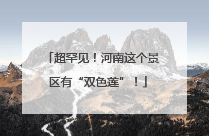 超罕见！河南这个景区有“双色莲”！