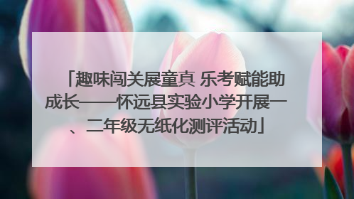 趣味闯关展童真 乐考赋能助成长——怀远县实验小学开展一、二年级无纸化测评活动