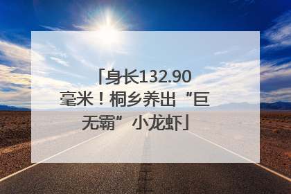 身长132.90毫米！桐乡养出“巨无霸”小龙虾
