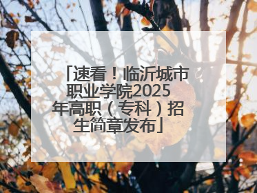 速看！临沂城市职业学院2025年高职（专科）招生简章发布