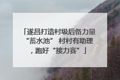 遂昌打造村级后备力量“蓄水池” 村村有助理，跑好“接力赛”