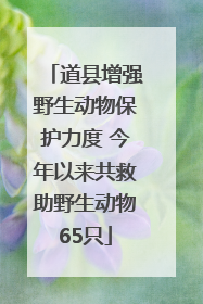 道县增强野生动物保护力度 今年以来共救助野生动物65只