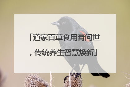 道家百草食用膏问世，传统养生智慧焕新
