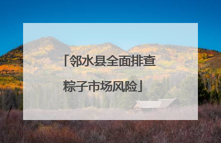 邻水县全面排查粽子市场风险