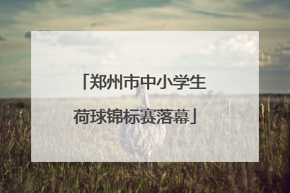 郑州市中小学生荷球锦标赛落幕