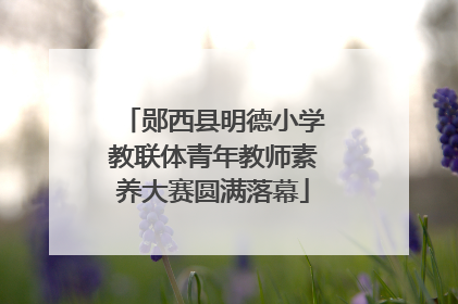 郧西县明德小学教联体青年教师素养大赛圆满落幕