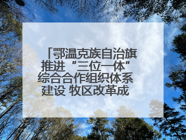 鄂温克族自治旗推进“三位一体”综合合作组织体系建设 牧区改革成果丰硕