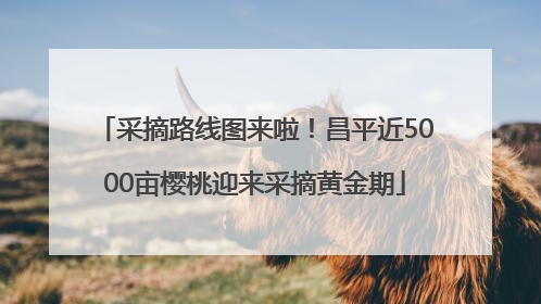 采摘路线图来啦！昌平近5000亩樱桃迎来采摘黄金期