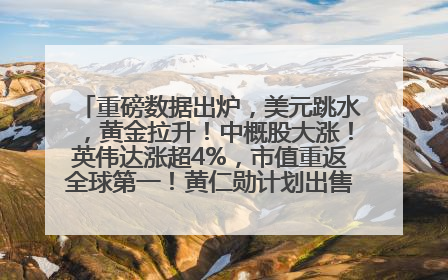 重磅数据出炉，美元跳水，黄金拉升！中概股大涨！英伟达涨超4%，市值重返全球第一！黄仁勋计划出售至多600万股股票