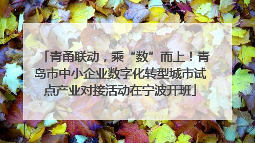青甬联动，乘“数”而上！青岛市中小企业数字化转型城市试点产业对接活动在宁波开班