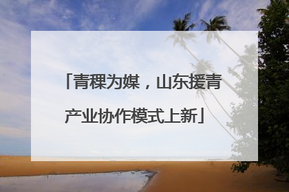 青稞为媒，山东援青产业协作模式上新