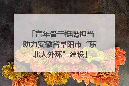 青年骨干挺膺担当 助力安徽省阜阳市“东北大外环”建设