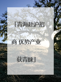 青海赴沪招商 优势产业获青睐
