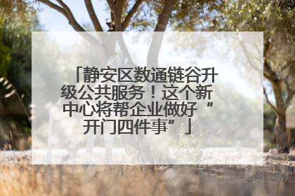 静安区数通链谷升级公共服务！这个新中心将帮企业做好“开门四件事”