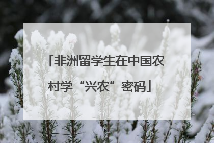 非洲留学生在中国农村学“兴农”密码