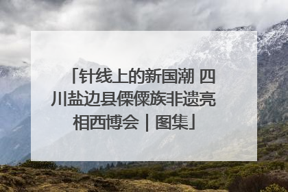 针线上的新国潮 四川盐边县傈僳族非遗亮相西博会｜图集