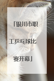 银川市职工乒乓球比赛开幕
