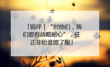 锐评｜“对他们，我们要有战略耐心”，任正非给谁提了醒