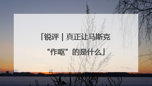 锐评｜真正让马斯克“作呕”的是什么