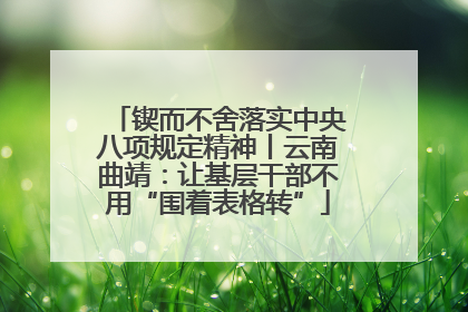 锲而不舍落实中央八项规定精神丨云南曲靖：让基层干部不用“围着表格转”