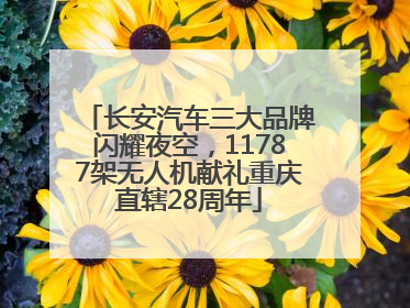 长安汽车三大品牌闪耀夜空，11787架无人机献礼重庆直辖28周年